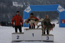Lenk 2012 SM